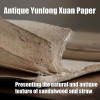 YUNLONG XUAN (χαρτί Σανδαλόξυλο/Στάχια) 70 Χ 140cm